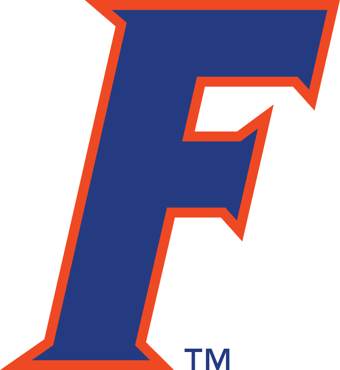 Florida Gators 2013-Pres Alternate Logo iron on transfers for T-shirts
